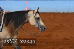 19YN_20345 thumbnail