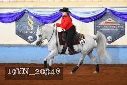 19YN_20348 thumbnail