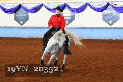 19YN_20352 thumbnail