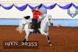 19YN_20353 thumbnail