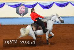 19YN_20354 thumbnail