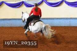 19YN_20355 thumbnail