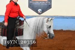 19YN_20356 thumbnail