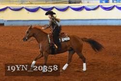 19YN_20358 thumbnail