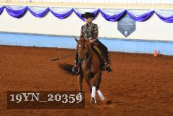 19YN_20359 thumbnail