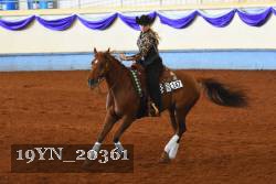 19YN_20361 thumbnail