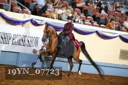 19YN_07723 thumbnail