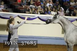 19YN_37685 thumbnail