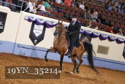 19YN_35214 thumbnail
