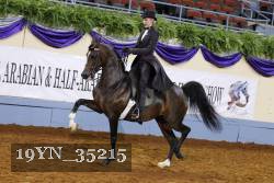 19YN_35215 thumbnail
