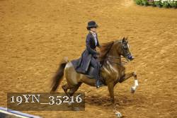 19YN_35216 thumbnail