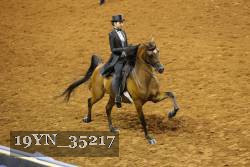 19YN_35217 thumbnail