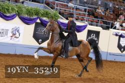 19YN_35219 thumbnail