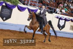 19YN_35222 thumbnail