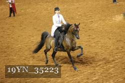 19YN_35223 thumbnail