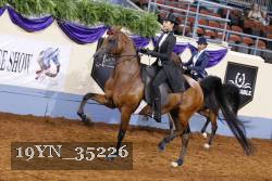 19YN_35226 thumbnail