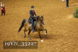 19YN_35227 thumbnail