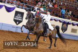 19YN_35234 thumbnail