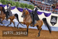 19YN_35243 thumbnail