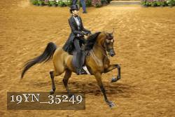 19YN_35249 thumbnail