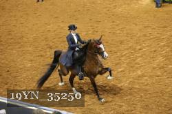 19YN_35250 thumbnail