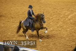 19YN_35251 thumbnail