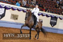 19YN_35252 thumbnail