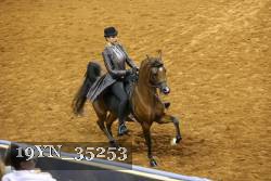 19YN_35253 thumbnail