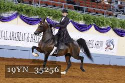 19YN_35256 thumbnail