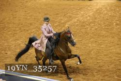 19YN_35257 thumbnail