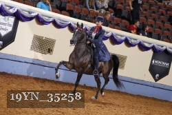 19YN_35258 thumbnail