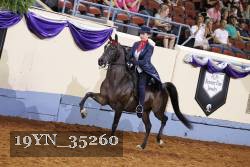 19YN_35260 thumbnail