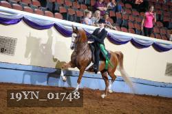 19YN_01748 thumbnail