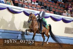 19YN_01753 thumbnail