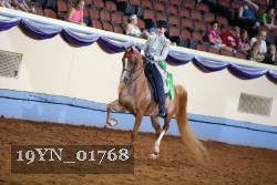19YN_01768 thumbnail