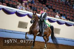 19YN_01777 thumbnail