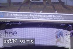 19YN_01779 thumbnail