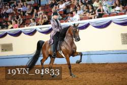 19YN_01833 thumbnail