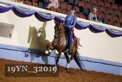 19YN_32019 thumbnail