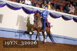 19YN_32020 thumbnail