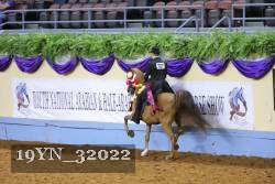 19YN_32022 thumbnail