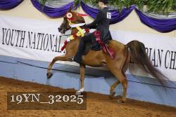 19YN_32025 thumbnail