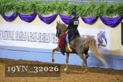 19YN_32026 thumbnail