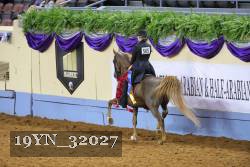 19YN_32027 thumbnail
