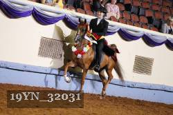 19YN_32031 thumbnail