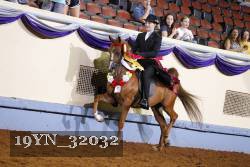 19YN_32032 thumbnail
