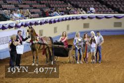 19YN_40771 thumbnail