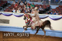 19YN_03213 thumbnail