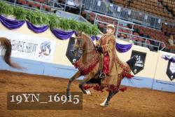 19YN_16915 thumbnail