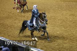 19YN_16947 thumbnail